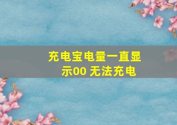 充电宝电量一直显示00 无法充电